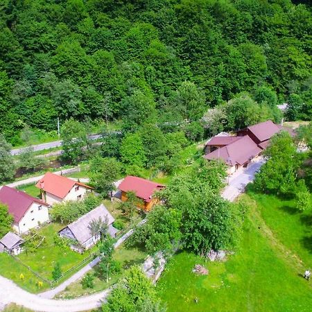Pensiunea Lupul Dacic Costeşti Kültér fotó