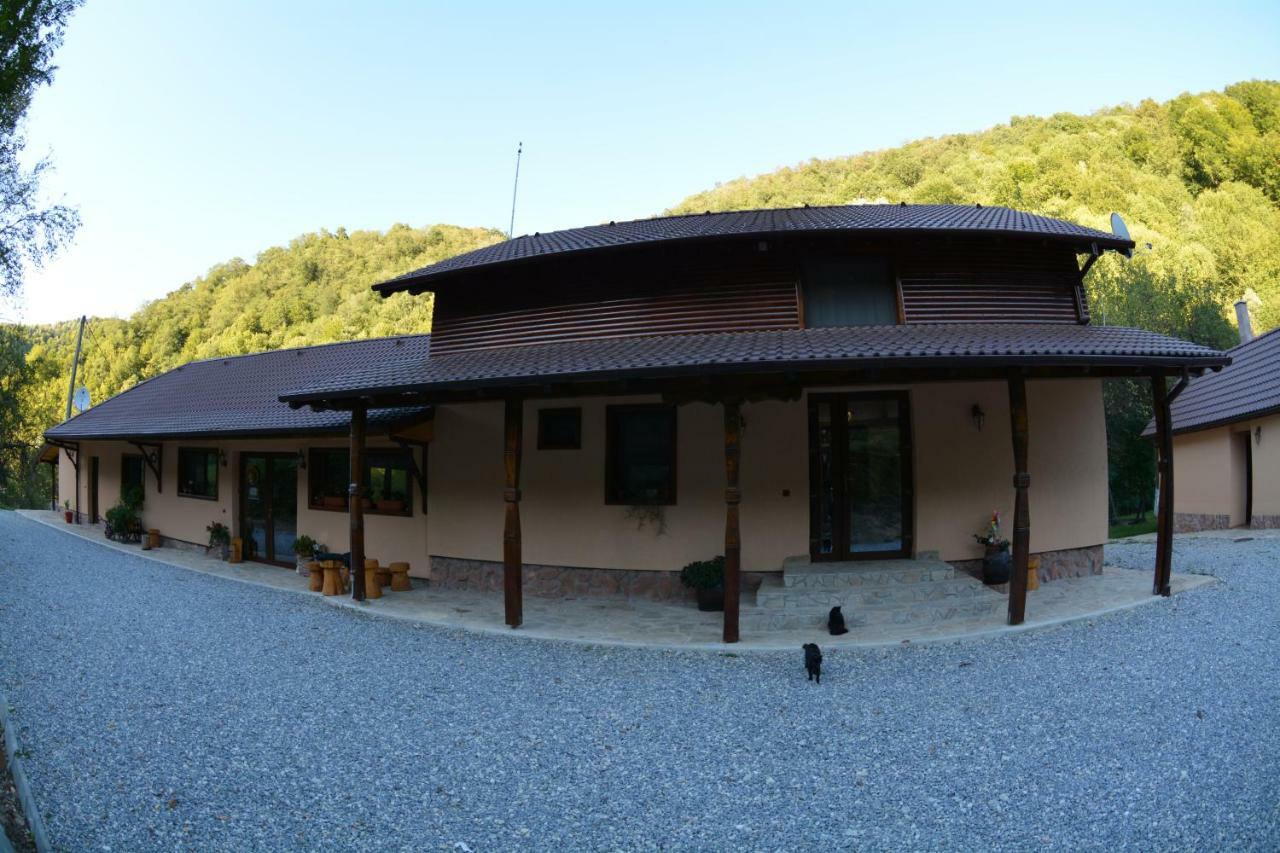 Pensiunea Lupul Dacic Costeşti Kültér fotó