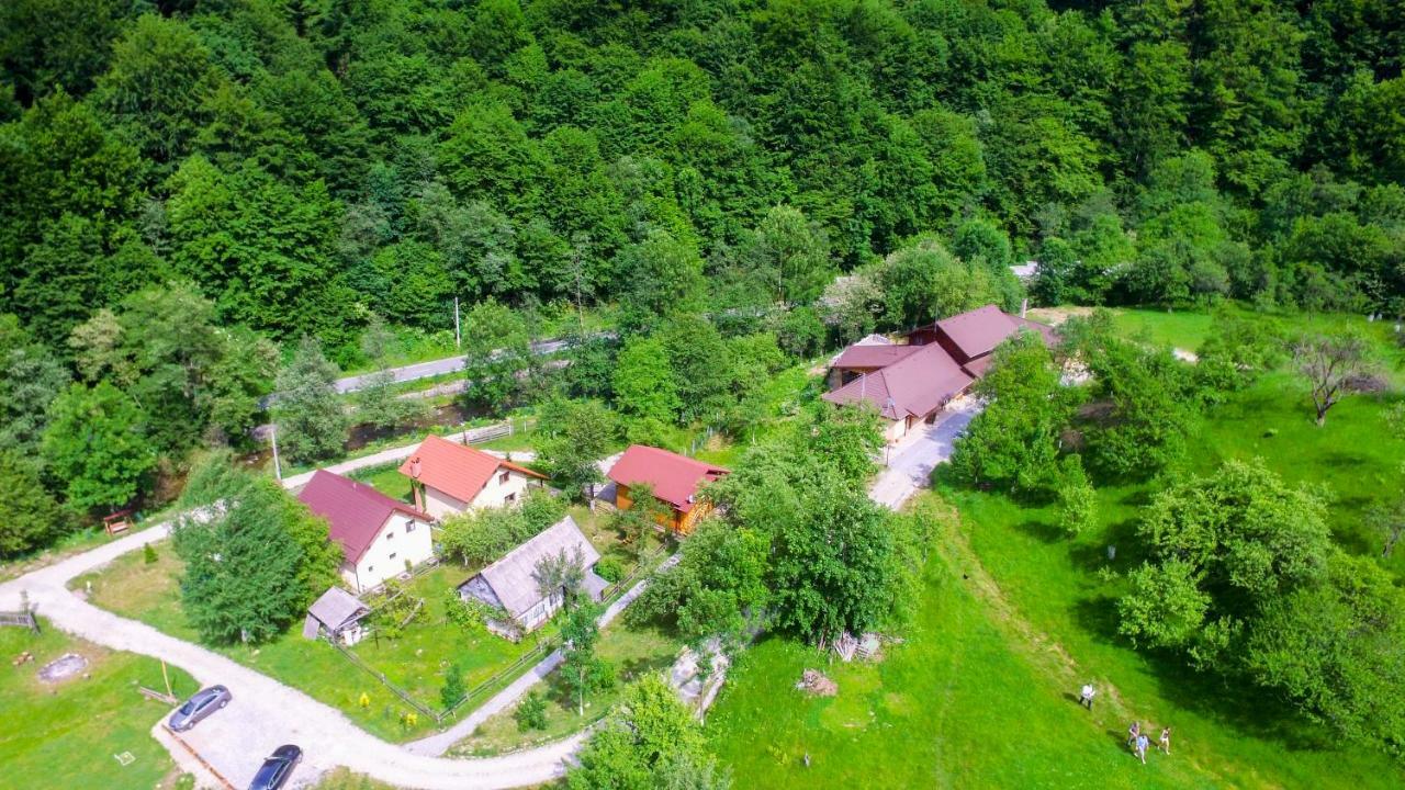 Pensiunea Lupul Dacic Costeşti Kültér fotó