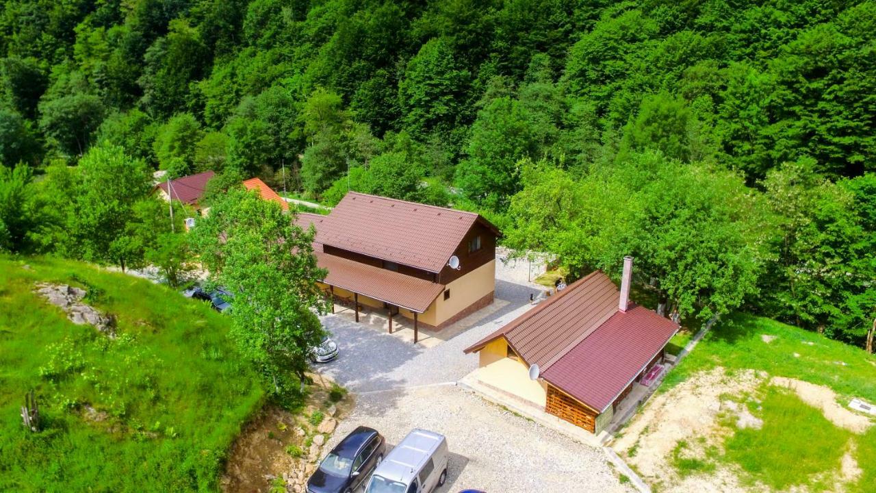 Pensiunea Lupul Dacic Costeşti Kültér fotó